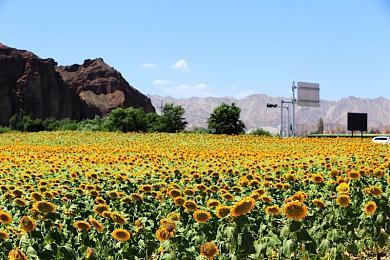 《星球大战绝地：幸存者》将于3月20日发布新预告 进入宣发期